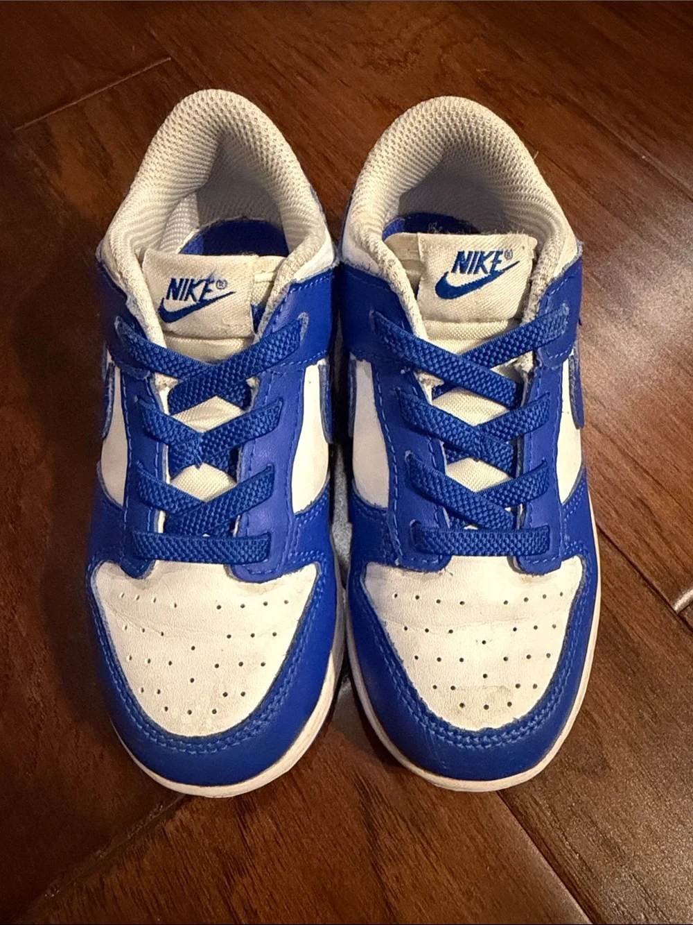 Nike Kids Blue and White Low-Top Sneakers
